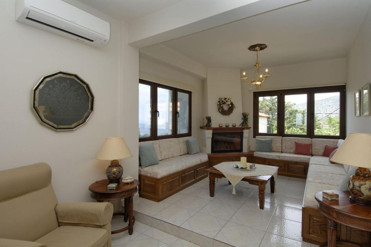 Iatrou House- Villa With Incredible View Portariá Eksteriør bilde